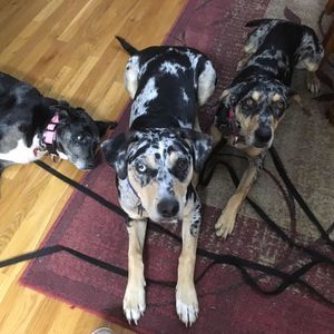 Meet your Posher, Wendy